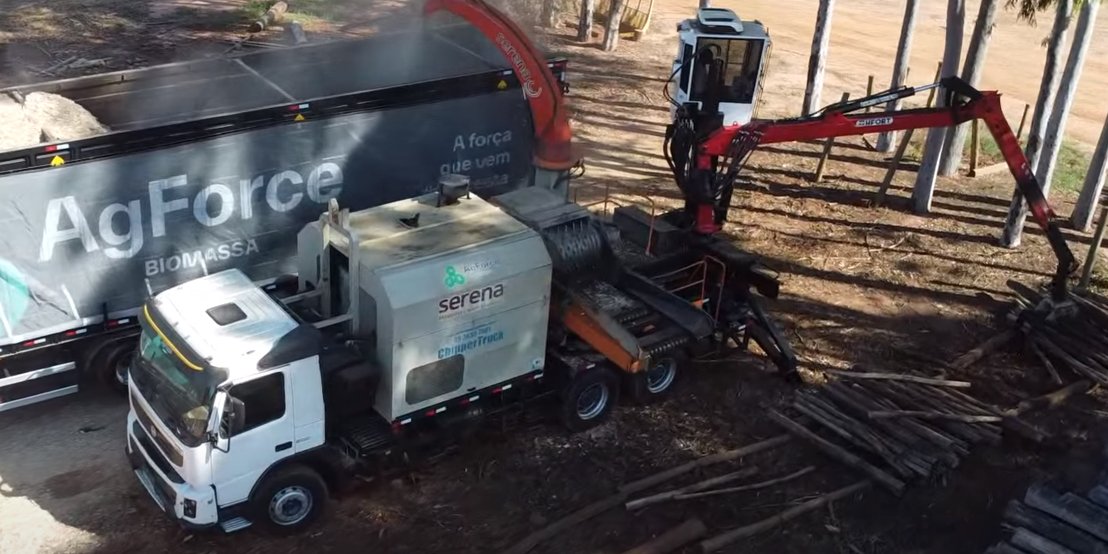 Colaborador AgForce trabalhando na colheita de eucalipto com equipamentos modernos